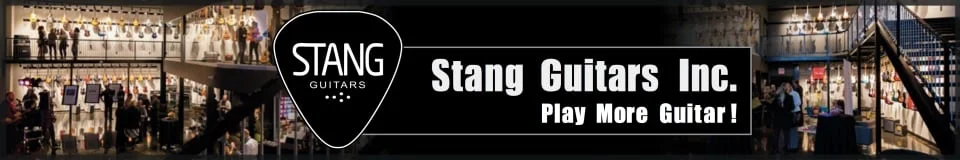 Guitar Repair Classes